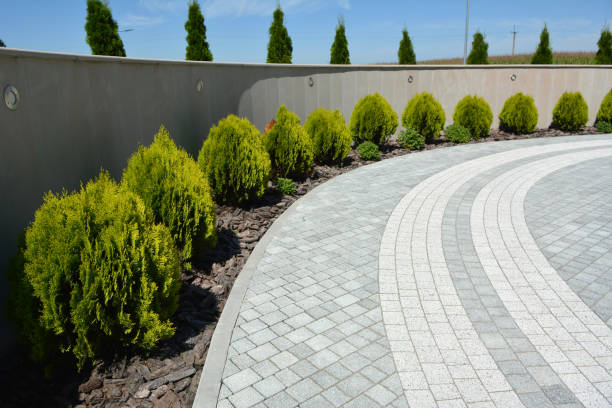 Best Cobblestone Driveway Pavers  in Lomita, CA